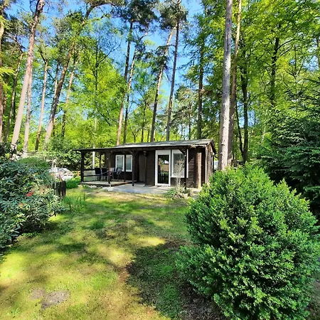 Dachsbau 58 Auf Dem Ostseecamp *