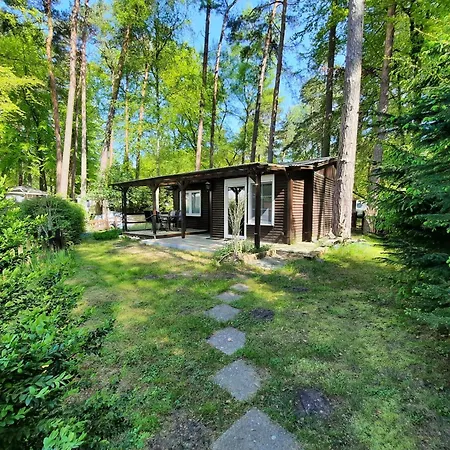 Dachsbau 58 Auf Dem Ostseecamp Graal-müritz