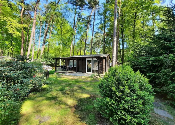 Dachsbau 58 Auf Dem Ostseecamp Graal-müritz *